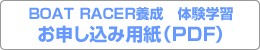 \ݗpiPDFj